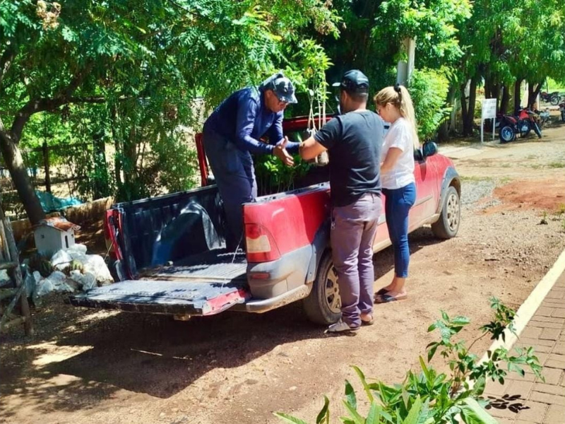 imagem sem descrição.