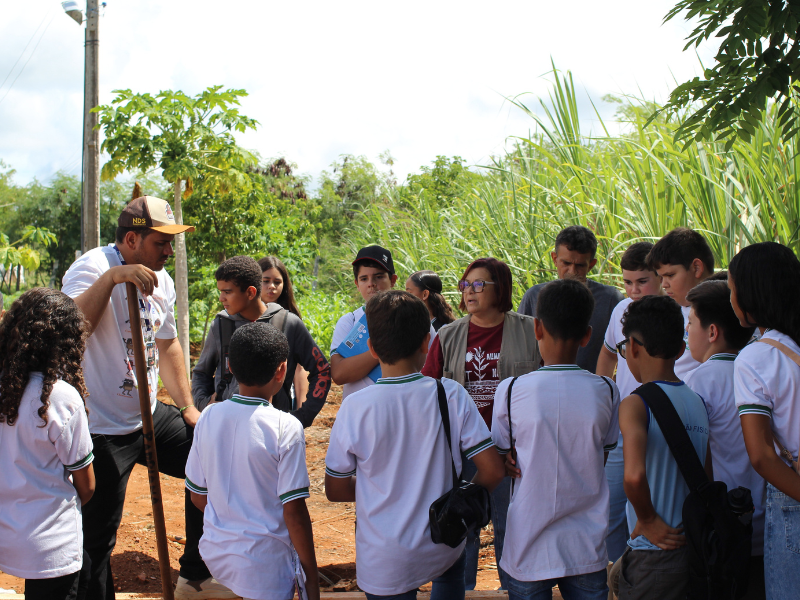 imagem sem descrição.