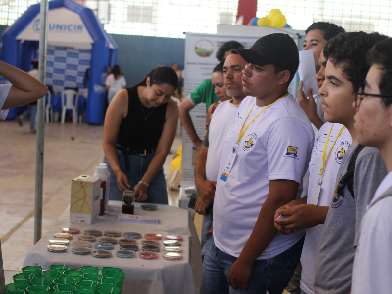 imagem sem descrição.