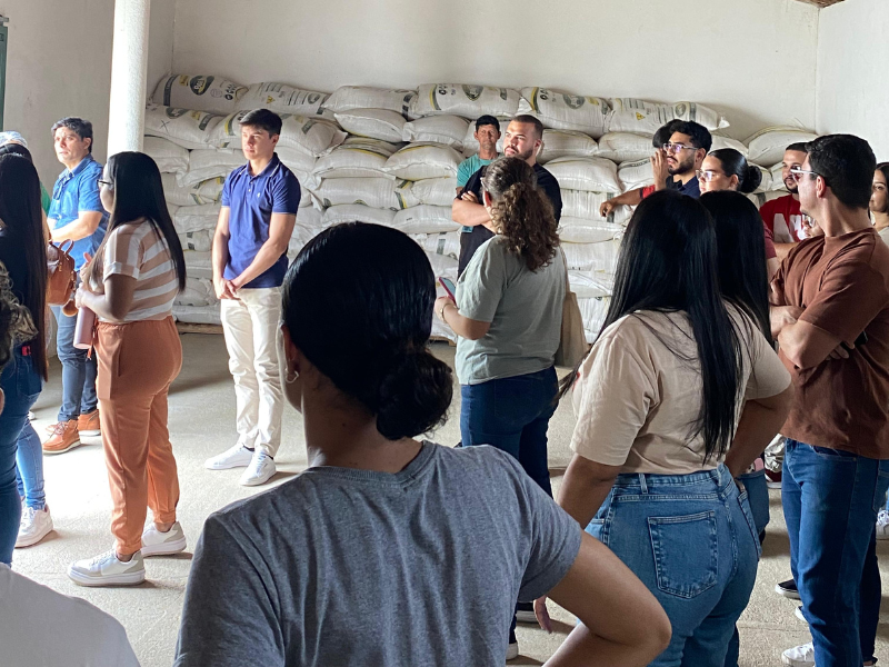 imagem sem descrição.