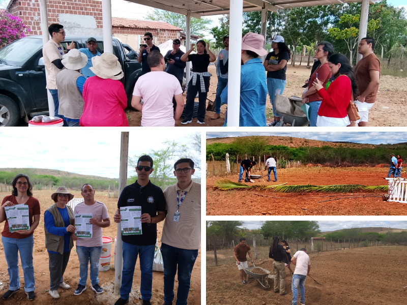 imagem sem descrição.